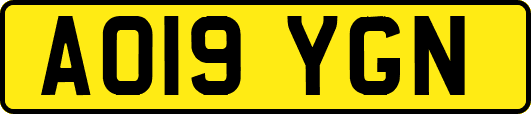 AO19YGN