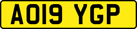 AO19YGP