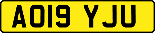 AO19YJU