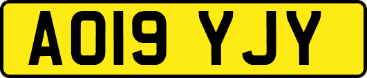 AO19YJY