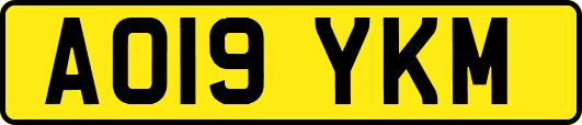 AO19YKM