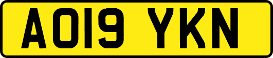 AO19YKN