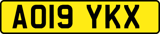 AO19YKX