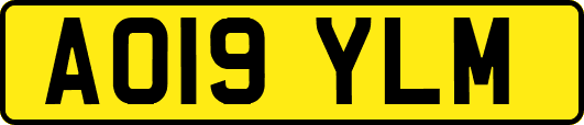 AO19YLM