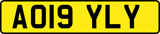 AO19YLY
