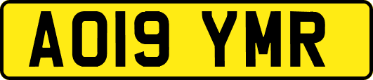 AO19YMR