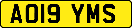 AO19YMS
