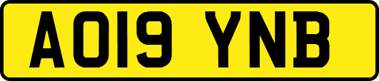 AO19YNB