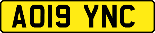 AO19YNC