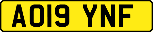AO19YNF