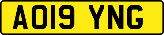 AO19YNG