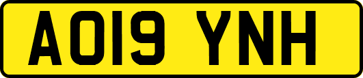 AO19YNH