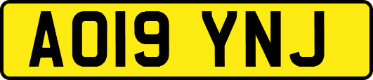 AO19YNJ