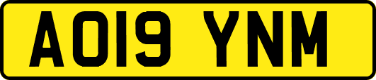 AO19YNM