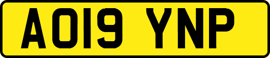 AO19YNP