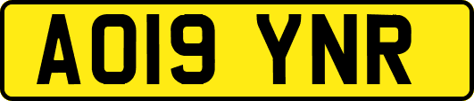 AO19YNR