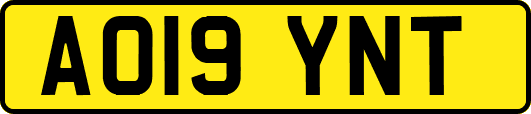 AO19YNT