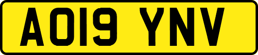 AO19YNV