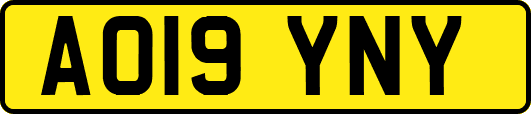 AO19YNY