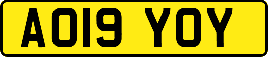 AO19YOY