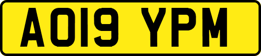 AO19YPM