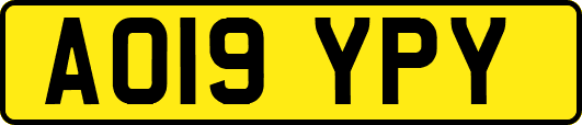 AO19YPY