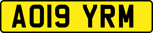 AO19YRM