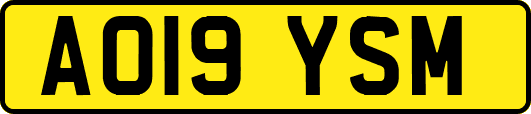 AO19YSM