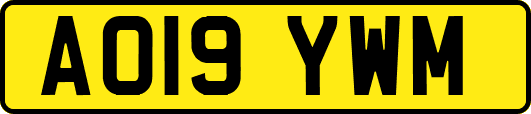 AO19YWM