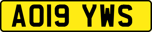 AO19YWS