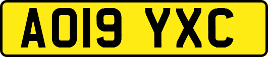 AO19YXC