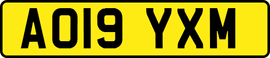 AO19YXM