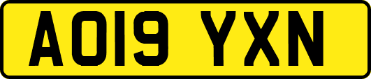 AO19YXN