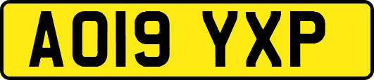 AO19YXP