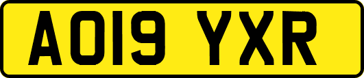 AO19YXR