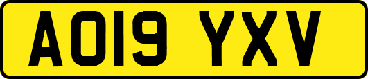 AO19YXV