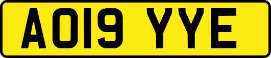AO19YYE