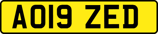AO19ZED