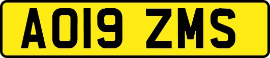 AO19ZMS