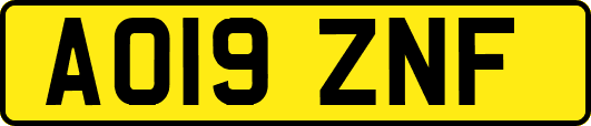 AO19ZNF