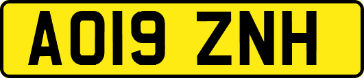 AO19ZNH