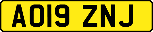 AO19ZNJ