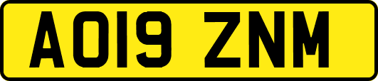AO19ZNM
