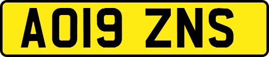AO19ZNS