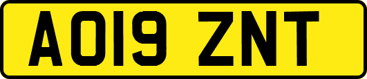 AO19ZNT