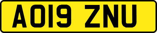 AO19ZNU
