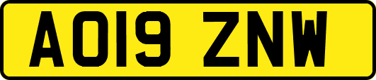 AO19ZNW