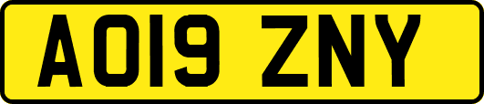 AO19ZNY