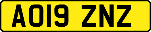 AO19ZNZ