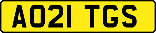AO21TGS